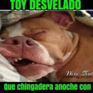 Meet your Posher, Ervin